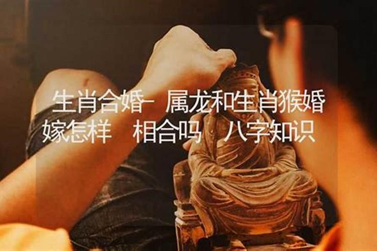 属羊女和属马的男配吗