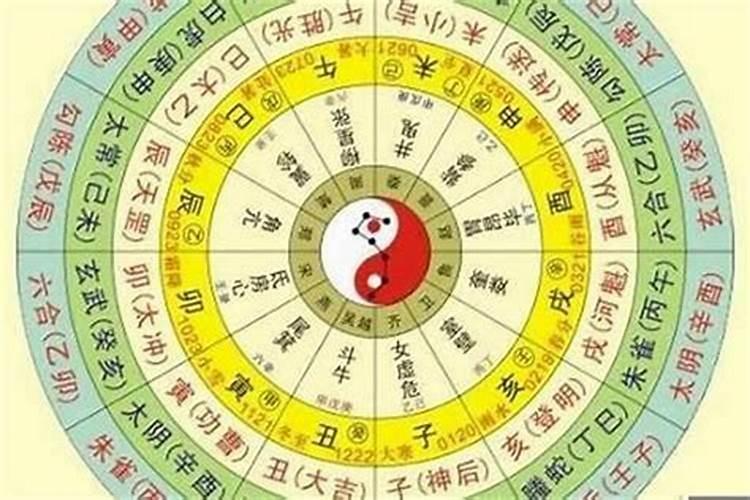 12生肖五行属性对照表码表